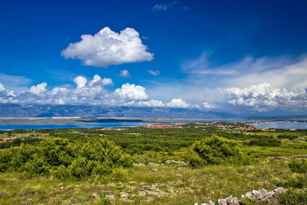 Apartment In Vir With Sea View, Terrace, Air Conditioning, Wi-Fi 0*,  Croatia